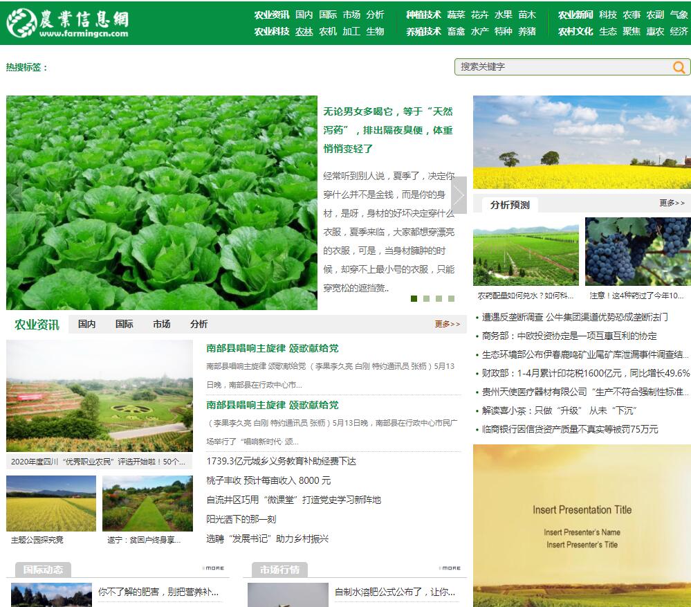 农业信息网